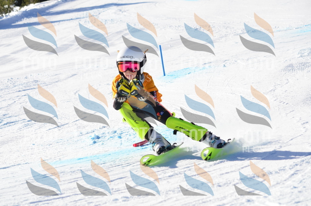 C6038 | holidayphoto