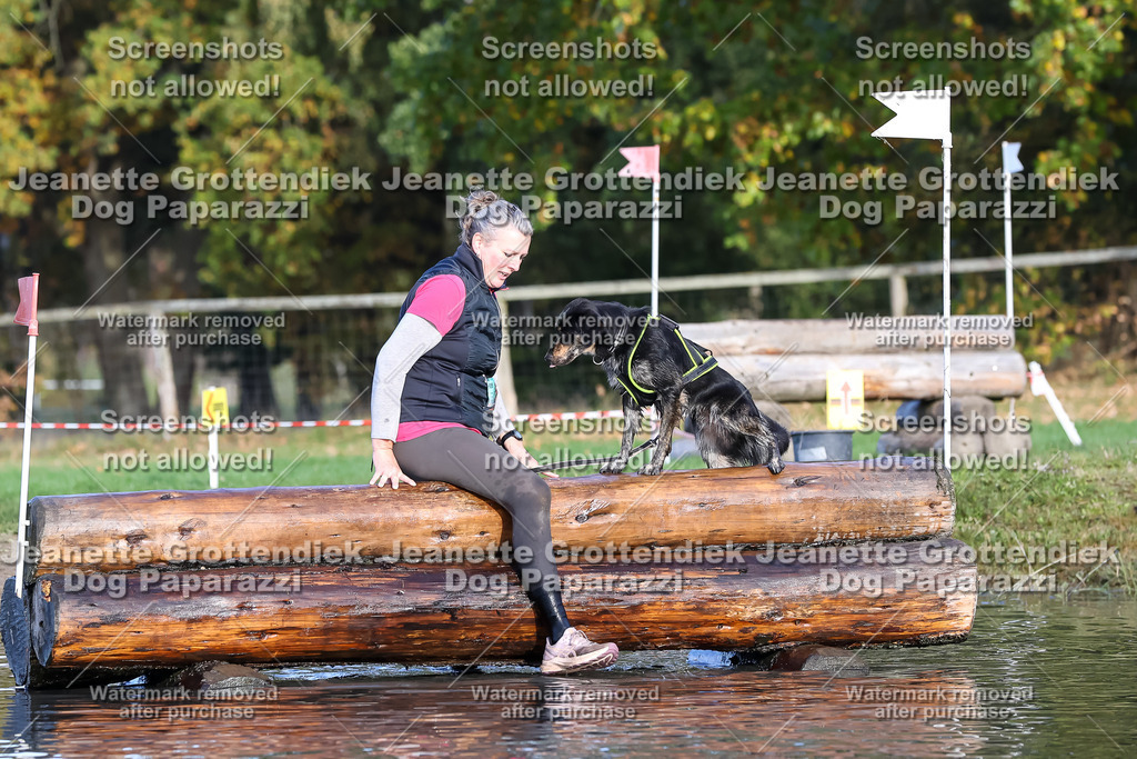 Dog Paparazzi - Strongdog 10-25-8514 | Dog Paparazzi Jeanette Grottendiek Fotografie & Videografie - Realisiert mit Pictrs.com