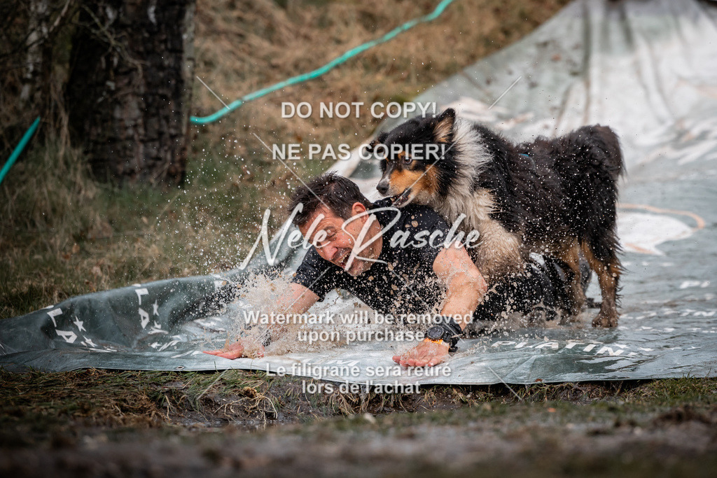 nelerasche_1300-1330_46 | nelerasche