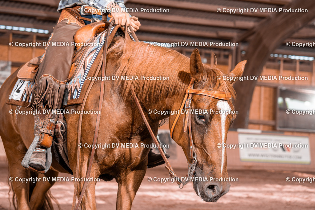 NE100802 | dv-media-shop - Realisiert mit Pictrs.com