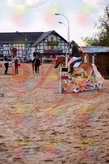 2026_10_03_Siefer-Hof_145517_Z81_35935670 | Professionelle Reitsport-, Turnier- und Eventfotografie von Robert Broda. Galerien mit ausgewählten und bearbeiteten Bildern direkt online ansehen und bestellen.