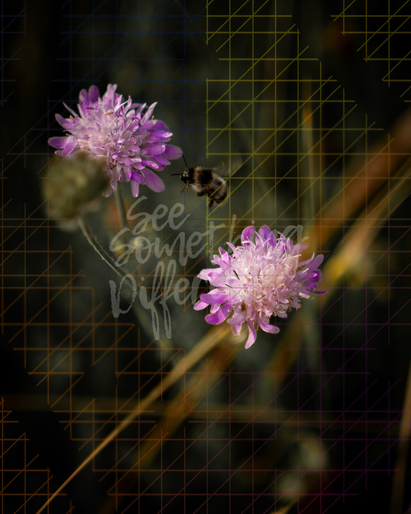 XE5G0028 | See something different - Realisiert mit Pictrs.com