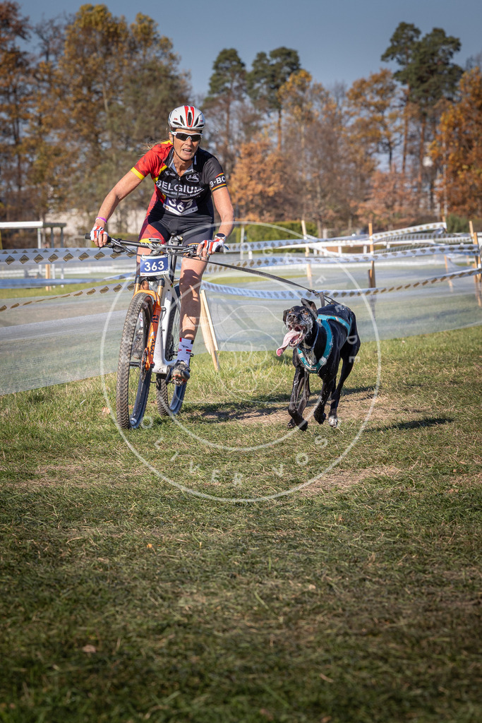 CaniXpix_0L8A6271 | Hundefotografie, Tierfotograf, Pfotenfotografie, Fotoshooting Hund, Hunde Portrait, Hundesport, Hundeportraits, Heideshooting, Hunde, Sportfotograf, Hundefotograf, Turnierhundsport, THS,  - Realisiert mit Pictrs.com