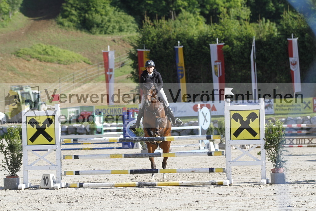 _MG_8404 | equestrian-live-com