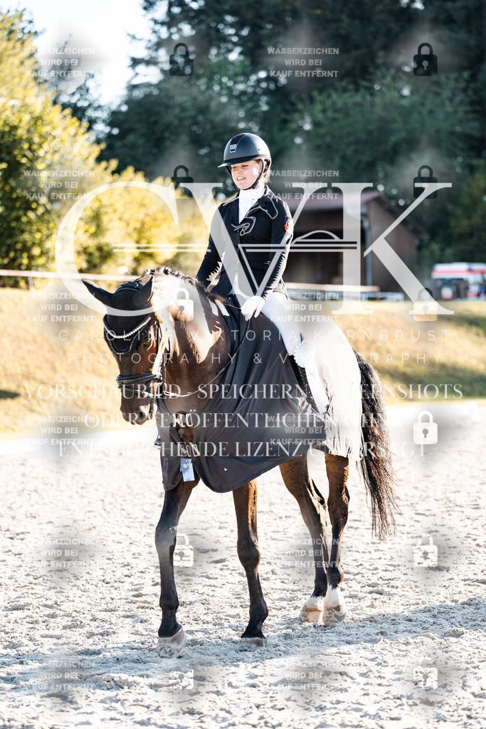 CK907239 | Turnierfotografie Pferdefotografie Trier Rheinland-Pfalz Pferdesport Reitsport Tierfotografie Sportfotografie Pferdevideo Pferdevideografie Equestrianvideography equestrianphotography  - Realisiert mit Pictrs.com
