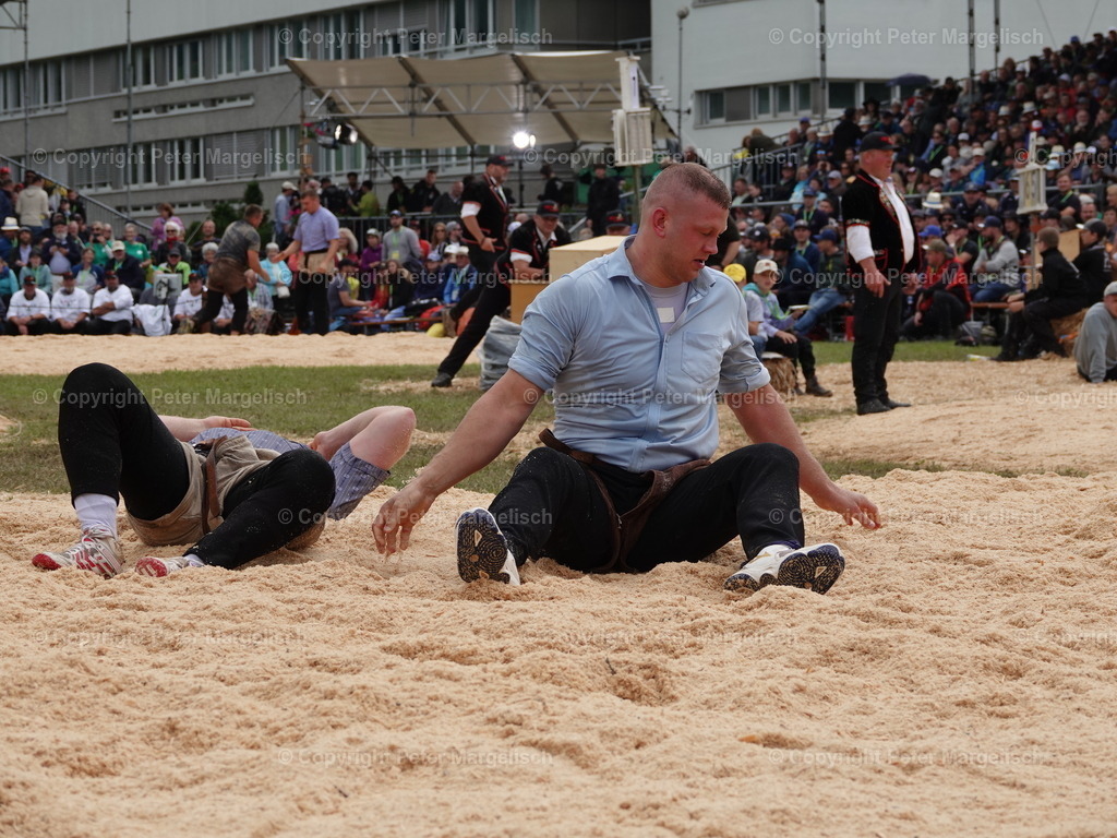DSC08053 | Schwingen - Realisiert mit Pictrs.com