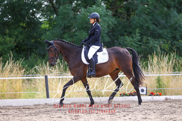 DKP45726 | Turniersportfotografie; Pferdefotografie; Dressurfotografie