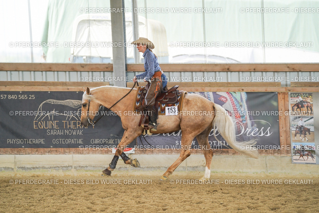 DSC05911 | Pferdegrafie