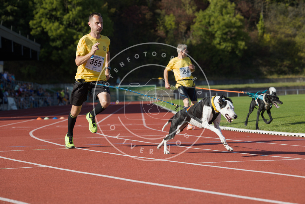0L8A0089 | Hundefotografie, Tierfotograf, Pfotenfotografie, Fotoshooting Hund, Hunde Portrait, Hundesport, Hundeportraits, Heideshooting, Hunde, Sportfotograf, Hundefotograf, Turnierhundsport, THS,  - Realisiert mit Pictrs.com