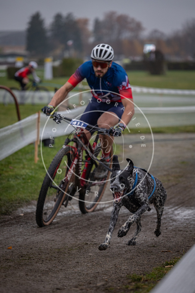CaniXpix_0L8A1167 | Hundefotografie, Tierfotograf, Pfotenfotografie, Fotoshooting Hund, Hunde Portrait, Hundesport, Hundeportraits, Heideshooting, Hunde, Sportfotograf, Hundefotograf, Turnierhundsport, THS,  - Realisiert mit Pictrs.com