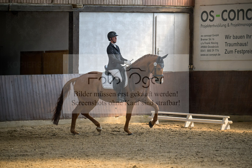 Reitturnier Voxtrup | Entdecke hochwertige Reitturnierfotos von Foto Oger. Professionell, emotional und authentisch – jetzt Lieblingsmomente im Shop bestellen.Deutschlandweite Turnierfotografie. - Realisiert mit Pictrs.com