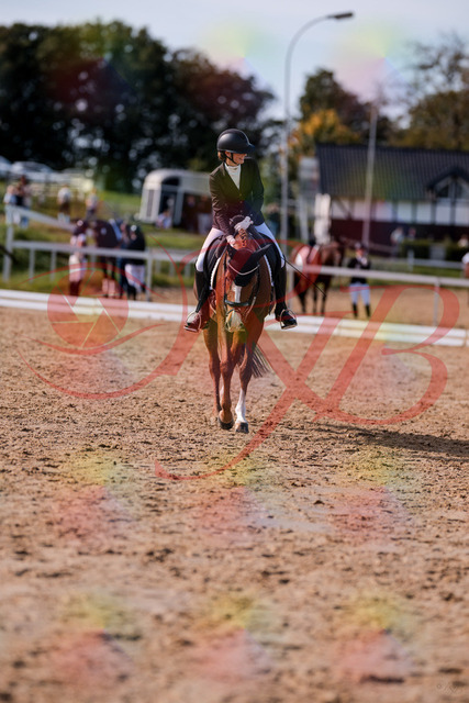 2026_10_03_Siefer-Hof_133317_Z81_91741315 | Professionelle Reitsport-, Turnier- und Eventfotografie von Robert Broda. Galerien mit ausgewählten und bearbeiteten Bildern direkt online ansehen und bestellen.