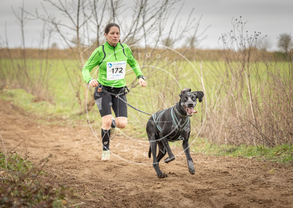 DV3A1973 | Hundefotografie, Tierfotograf, Pfotenfotografie, Fotoshooting Hund, Hunde Portrait, Hundesport, Hundeportraits, Heideshooting, Hunde, Sportfotograf, Hundefotograf, Turnierhundsport, THS,  - Realisiert mit Pictrs.com