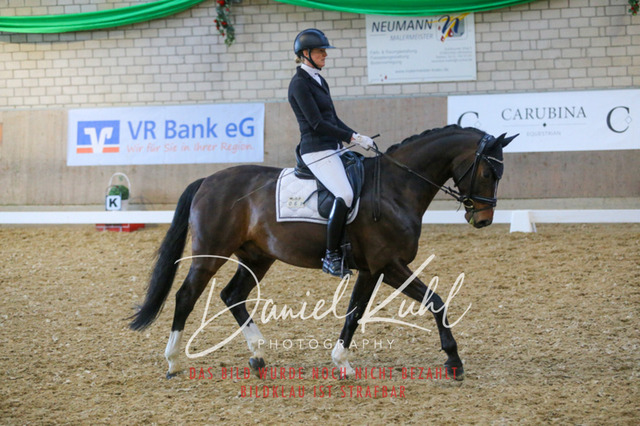 IMG_2850 | Turnierfotos kaufen im Webshop von Daniel Kuhl Photography – entdecke professionelle Reitsportfotos aus Turnieren & Events. Hochwertige Turnierbilder online bestellen & sichern. Jetzt Fotos von Reitsportturnieren kaufen!