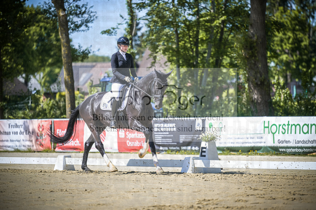 DOS_0349 | Entdecke hochwertige Reitturnierfotos von Foto Oger. Professionell, emotional und authentisch – jetzt Lieblingsmomente im Shop bestellen.Deutschlandweite Turnierfotografie. - Realisiert mit Pictrs.com