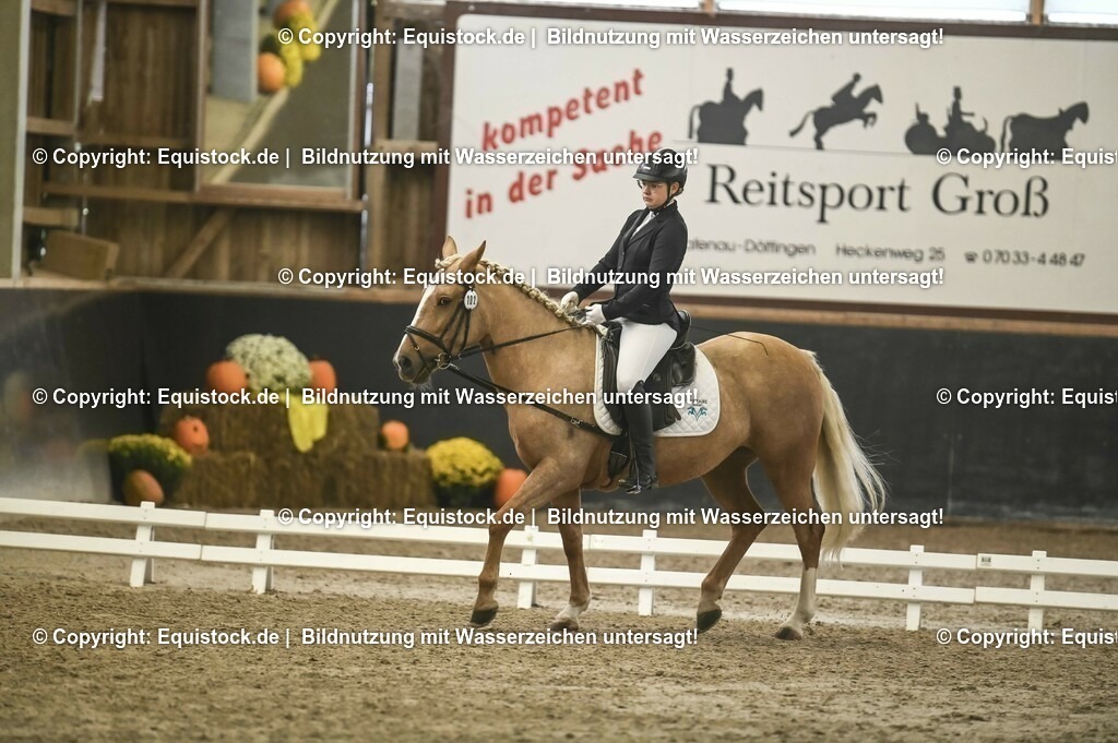20231029_02_Reiter-WB_Schritt-Trab-Galopp_Abteilung-01_0034 | Foto: Thomas Hartig