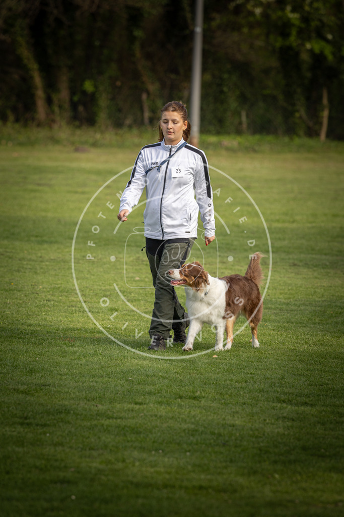 Pfotenfotografie_DV3A4839 | Hundefotografie, Tierfotograf, Pfotenfotografie, Fotoshooting Hund, Hunde Portrait, Hundesport, Hundeportraits, Heideshooting, Hunde, Sportfotograf, Hundefotograf, Turnierhundsport, THS,  - Realisiert mit Pictrs.com