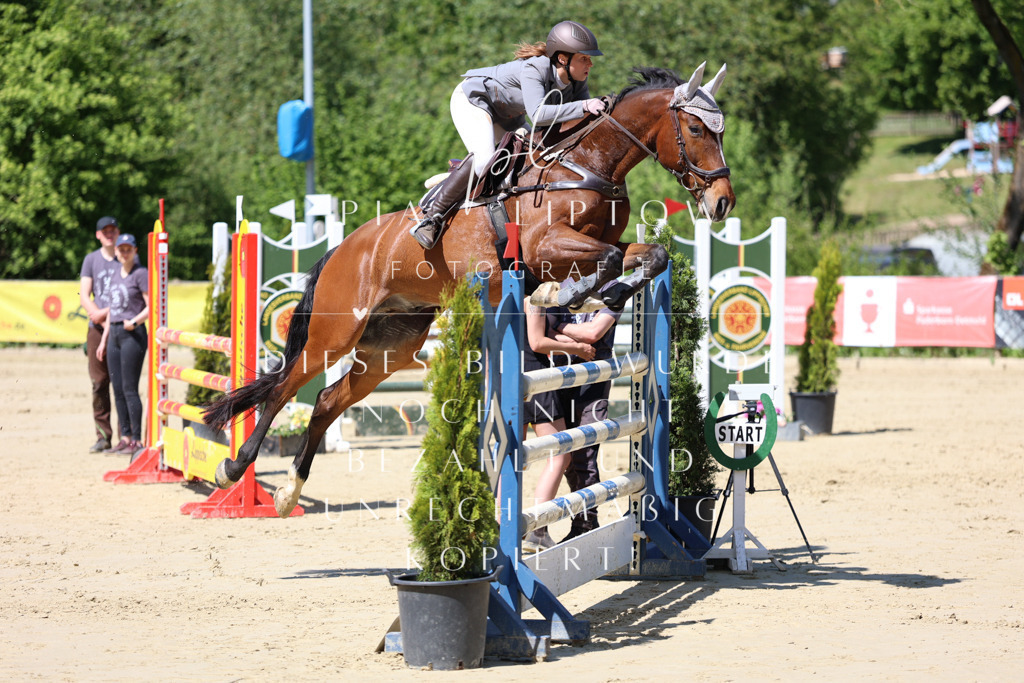 IMGS8740 | pl-fotografie