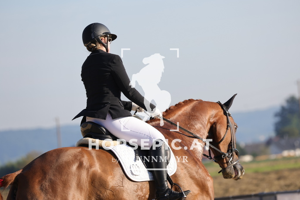 0P6A8380 | Willkommen bei Brunnmayr - Design & Fotografie – Ihrem Spezialisten für Reitturniere und Pferdeveranstaltungen in Oberösterreich, Salzburg und Bayern! Seit über 17 Jahren sind wir leidenschaftlich dabei.
