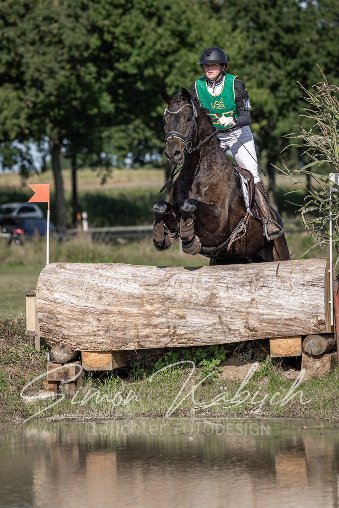 20250907-_3LI3281 | Tierfotografie Pferde, Hunde, Katzen, Haustiere.
Turnierfotografie Reitturniere, Reiten, Springreiten, Dressur in Hanau, dem Main-Kinzig-Kreis und dem Rhein-Main- Gebiet um Frankfurt