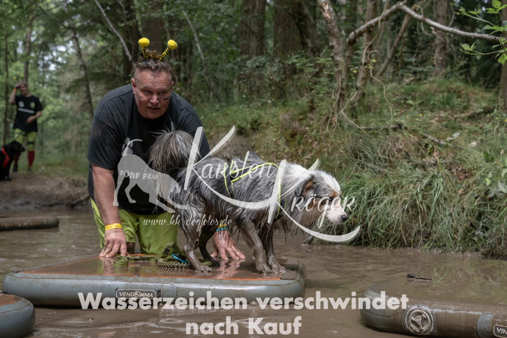 1337_ZZ94982 | kk-dogfotos