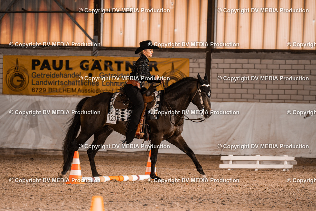 ZH200376 | dv-media-shop - Realisiert mit Pictrs.com