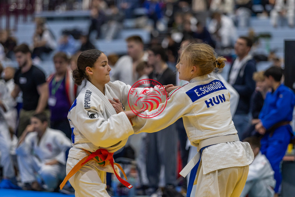 Internationaler Adler Cup 2024 | Foto vom Internationalen Adler Cup Judo Turnier im Sport- und Freizeitzentrum Kalbach im Oktober 2024 - Realisiert mit Pictrs.com