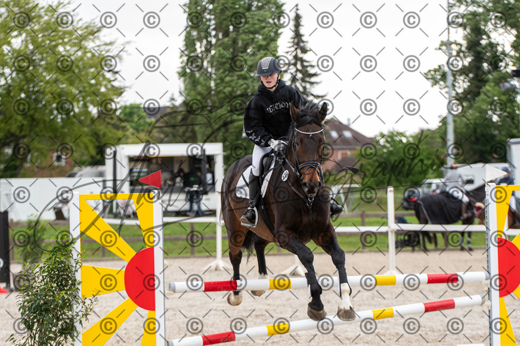 KPT_7838 | andre_photographic