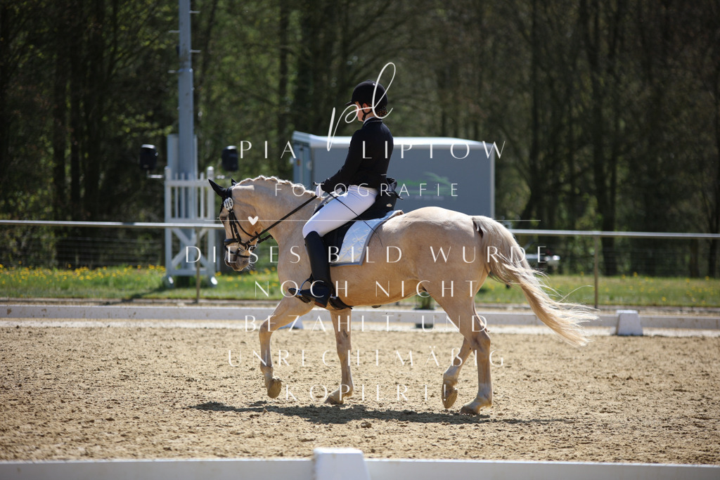 IMGT1733 | pl-fotografie