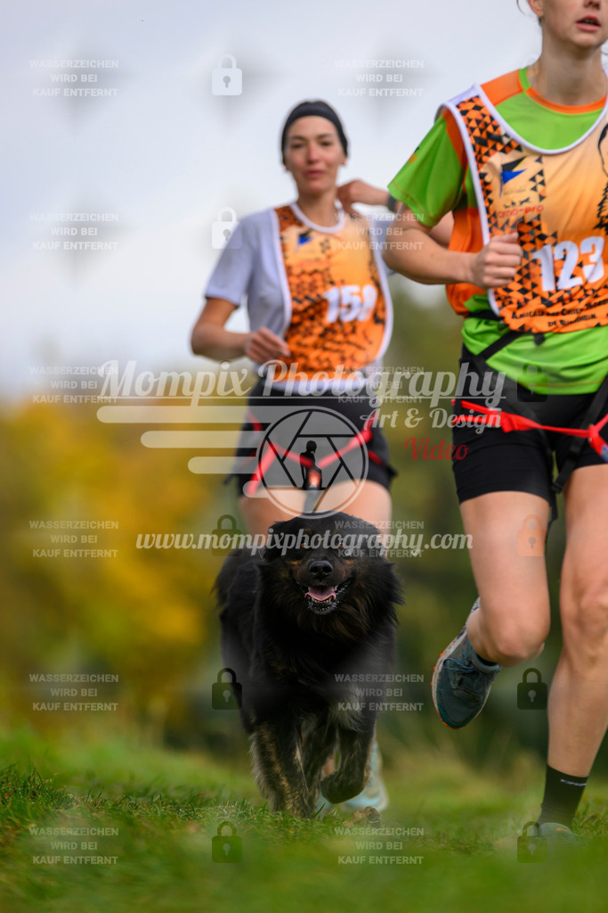 MompixPhotography_CDLBDB2025_DI_CC-188 | PayLife