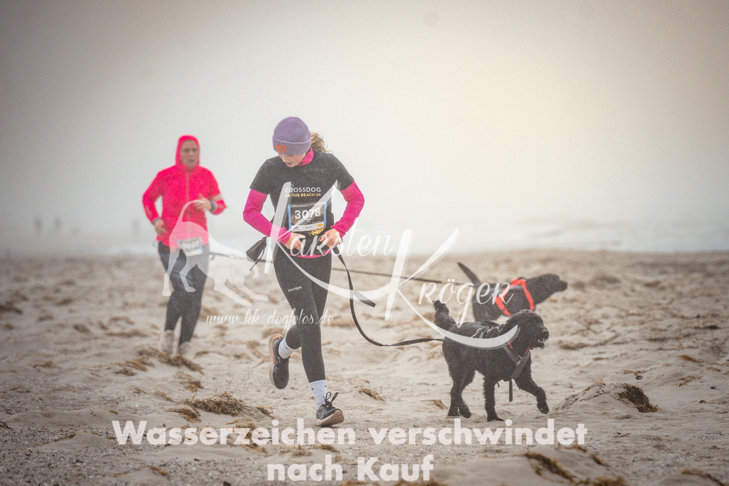 1105_ZZ96681 | kk-dogfotos
