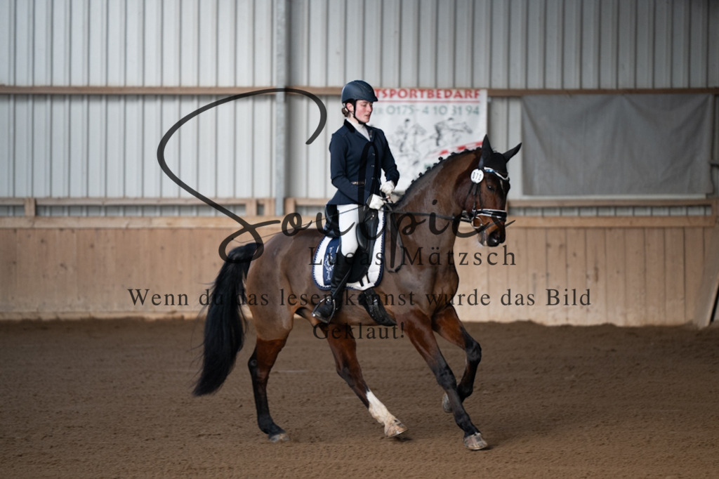 A7V05649 | Pferdefotograf