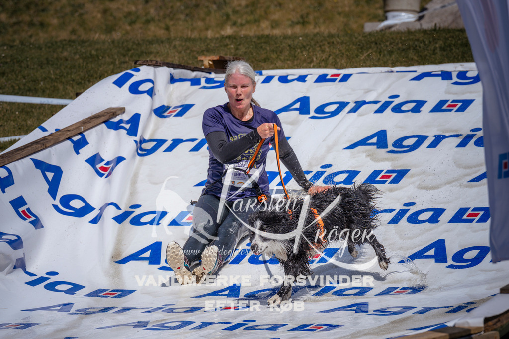 _ZZ937340943 | kk-dogfotos