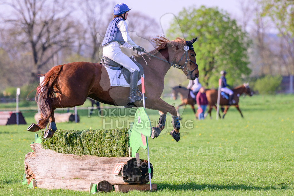 18042026-Gernlinden-02-0305 | Fokus Hufschlag Fotografie - Realisiert mit Pictrs.com