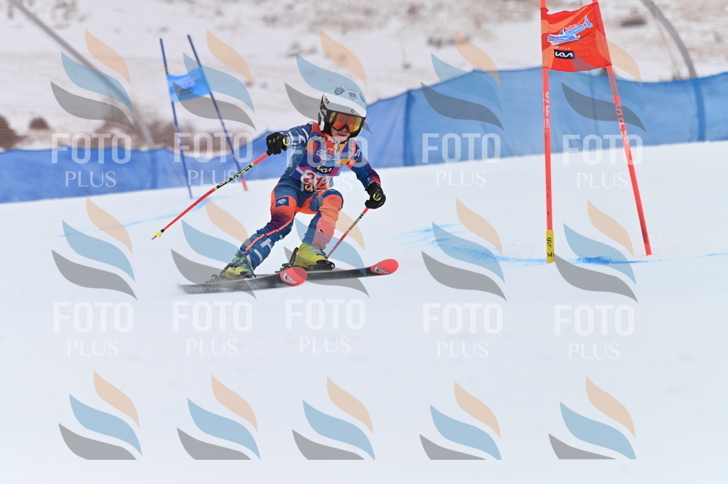 BGV_2533 | holidayphoto