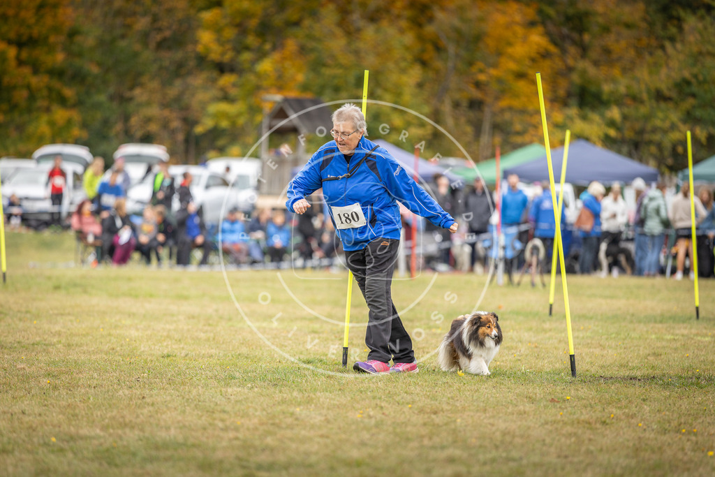 Pfotenfotografie_DV3A5335 | Hundefotografie, Tierfotograf, Pfotenfotografie, Fotoshooting Hund, Hunde Portrait, Hundesport, Hundeportraits, Heideshooting, Hunde, Sportfotograf, Hundefotograf, Turnierhundsport, THS,  - Realisiert mit Pictrs.com