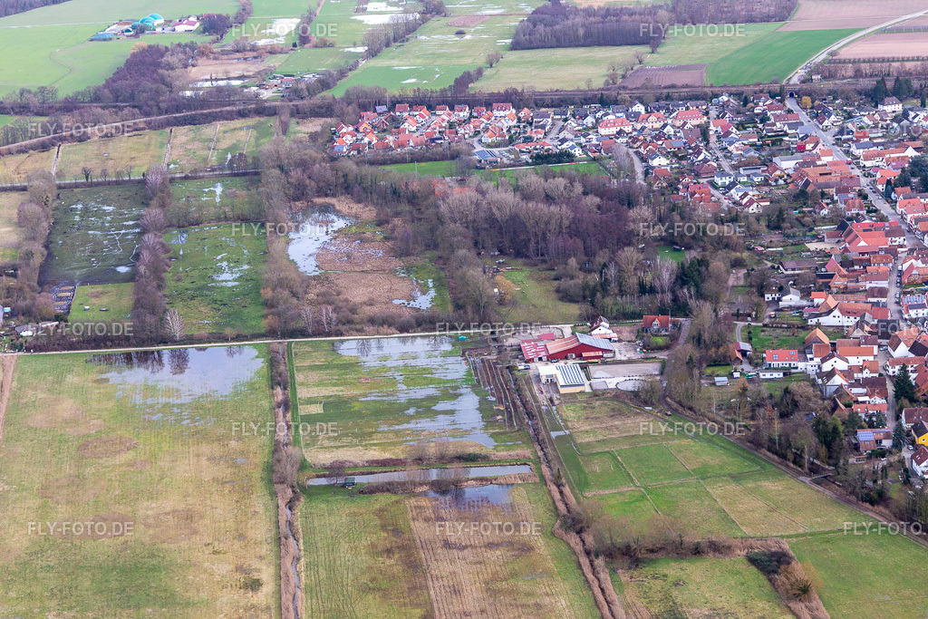 Überfluteter Flutgraben/Erlenbach an der Waschmühle | Luftbild: Überfluteter Flutgraben/Erlenbach an der Waschmühle in Billigheim-Ingenheim im Bundesland Rheinland-Pfalz in Deutschland. Foto: IMG_124173.jpg vom 04.02.2021 durch ©2025 Werner Riehm fly-foto.de/copyright - Realisiert mit Pictrs.com