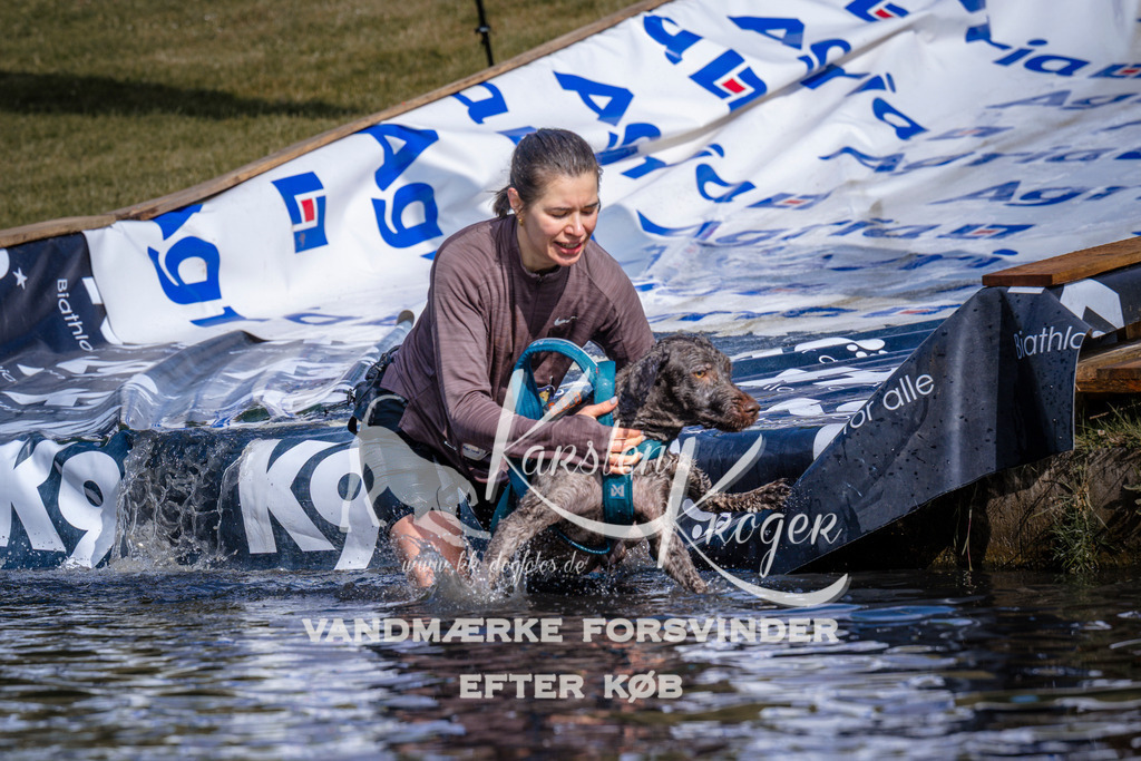_ZZ992860823 | kk-dogfotos