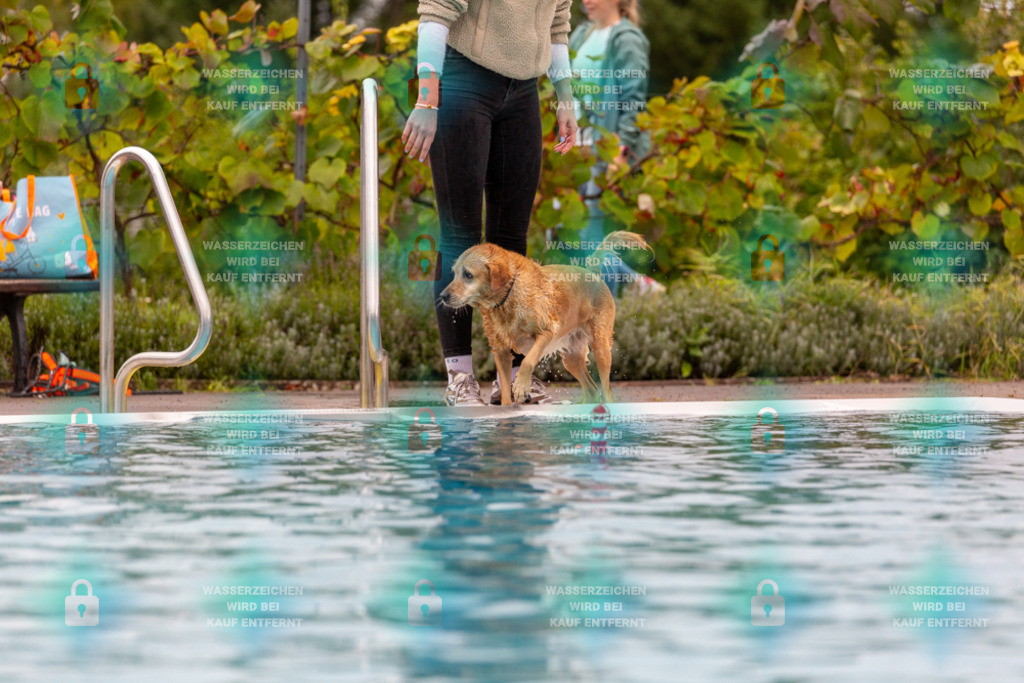 _HP_6111_1000o | HetPix, HetPix Fotodesign, Fotografie, Fotodesign, Webshop, Sportfotografie, Portraitfotografie, Onlineshop, Sportfotografie, Polch, Motorsportfotografie, Eventfotografie