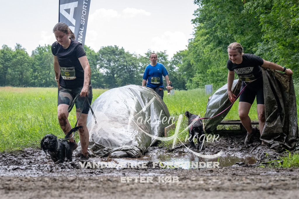 1114_ZZ92001 | kk-dogfotos