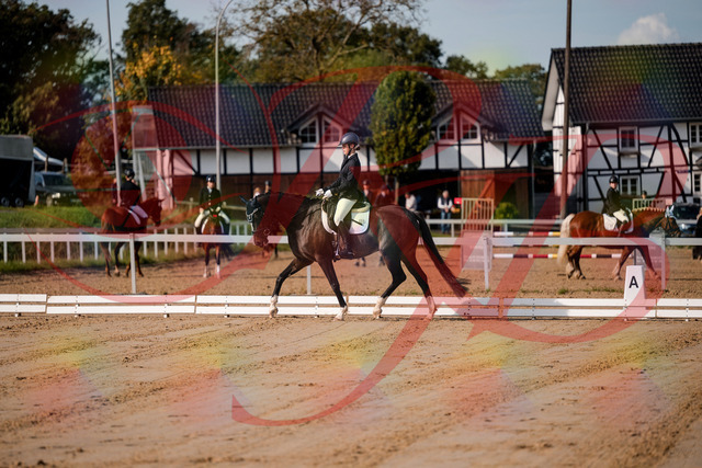 2026_10_03_Siefer-Hof_113443_Z63_20434299 | Professionelle Reitsport-, Turnier- und Eventfotografie von Robert Broda. Galerien mit ausgewählten und bearbeiteten Bildern direkt online ansehen und bestellen.