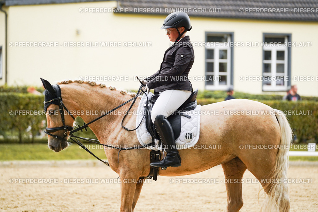 DSC09887 | Pferdegrafie