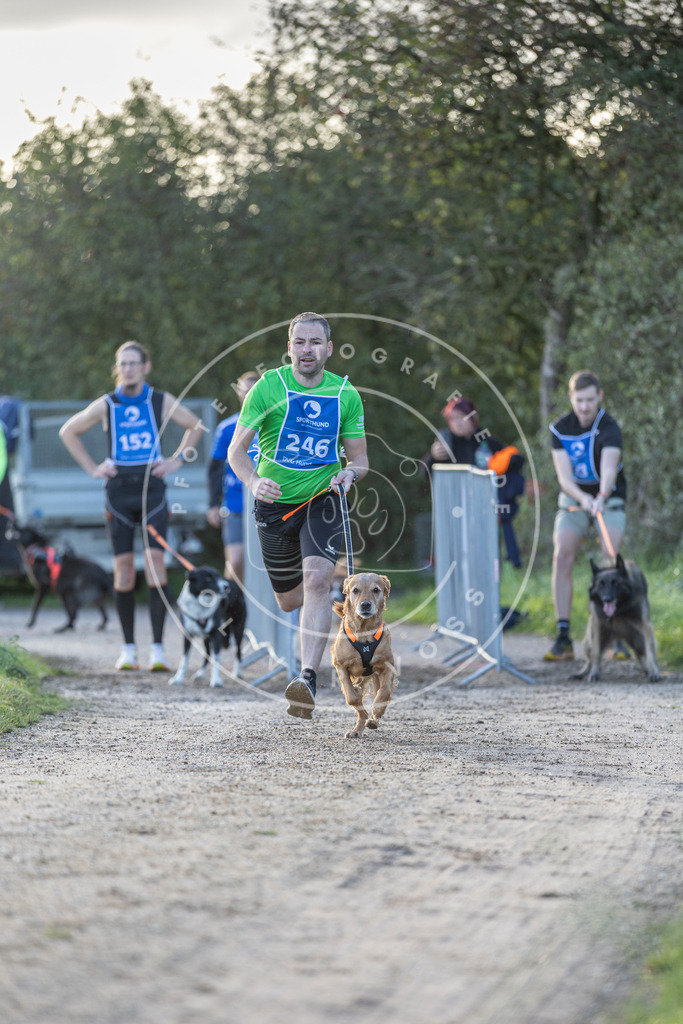 Pfotenfotografie.de_DV3A2715 | Hundefotografie, Tierfotograf, Pfotenfotografie, Fotoshooting Hund, Hunde Portrait, Hundesport, Hundeportraits, Heideshooting, Hunde, Sportfotograf, Hundefotograf, Turnierhundsport, THS, canicross - Realisiert mit Pictrs.com