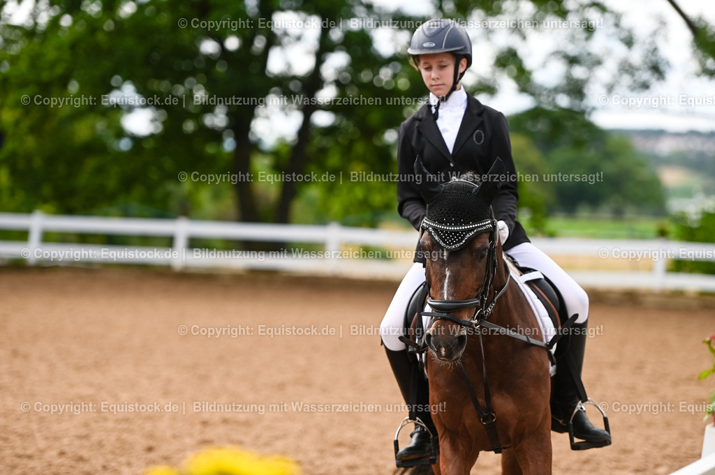 20230716_10-2_Reiter-WB Schritt - Trab - Galopp_0103 | equistock