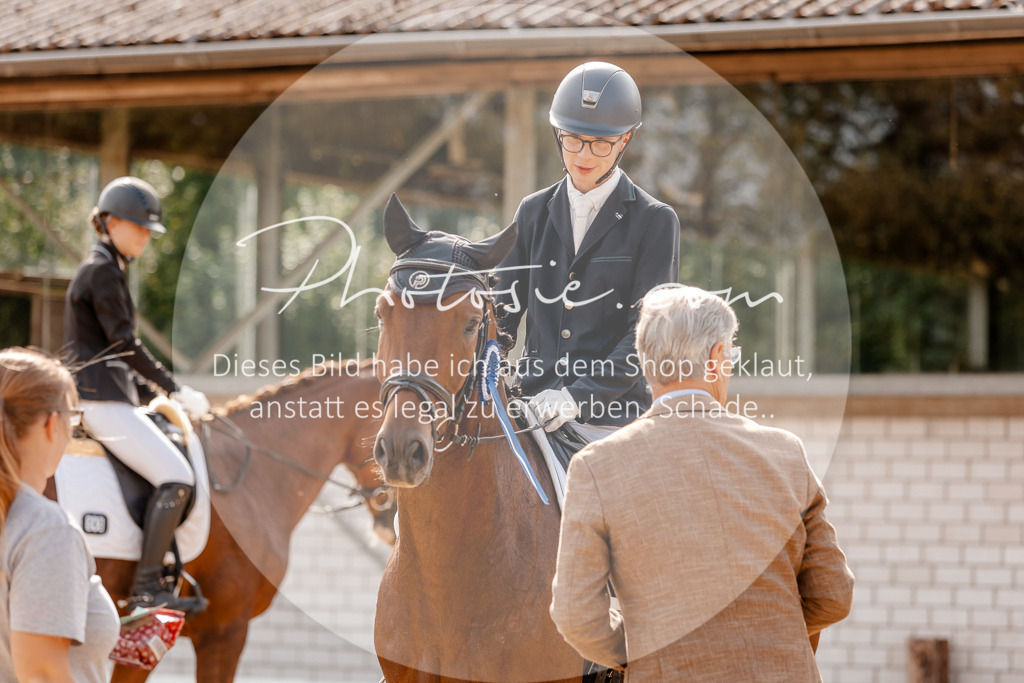 3I6A4527 | Stimmungsvolle Portraits und Reitsportfotografie im Ruhrgebiet und im Münsterland.

Pferdefotografie, Hundefotografie, Tierfotografie, Reportagen, Portraits von Tier und Mensch, Turnierfotografie in Bochum, Recklinghausen, Marl, Haltern am See, Dülmen.. - Realisiert mit Pictrs.com
