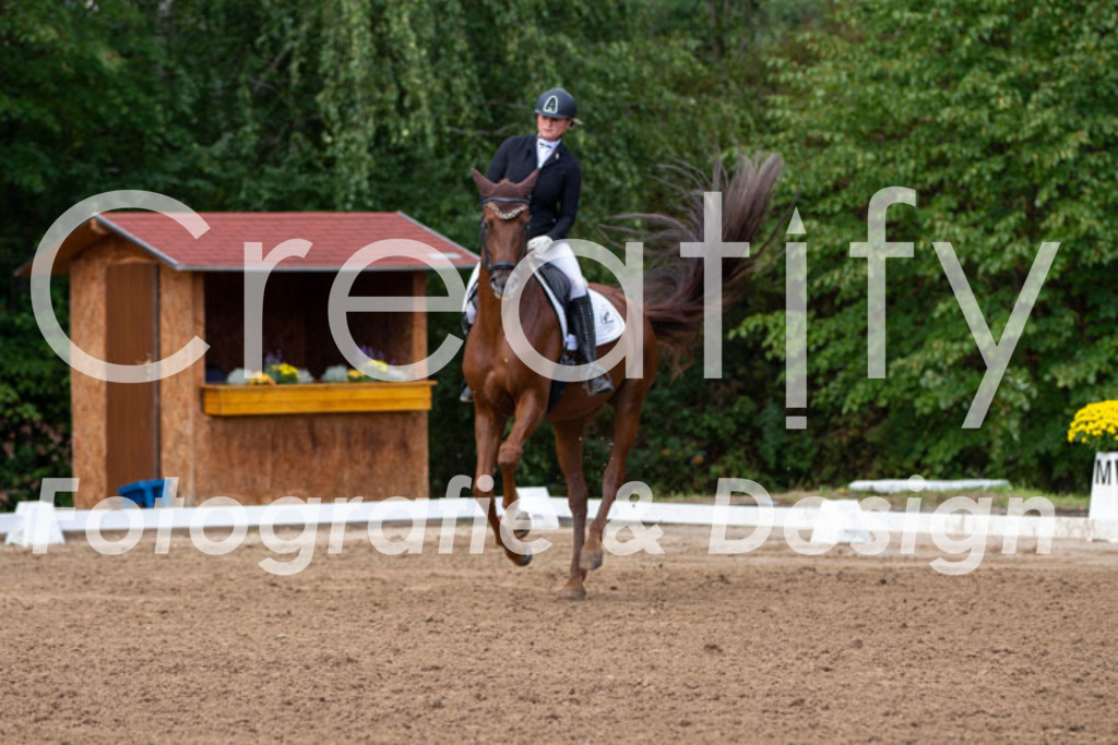 IMG_3787 | Creatify Fotografie