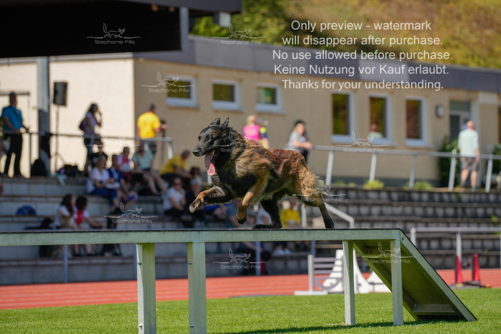 Sonntag_VK Hindernis (370 von 671) | stephaniefillaphotographie - Realisiert mit Pictrs.com