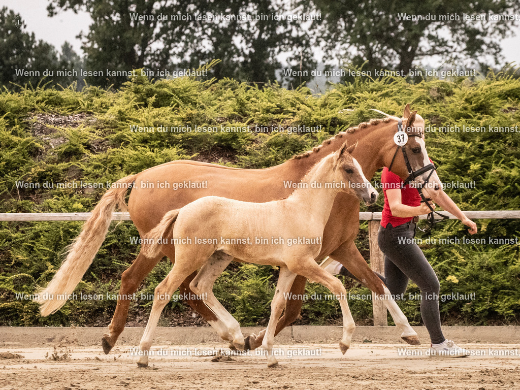 A10I3389 15.56.14 | photographylinaismer - Realisiert mit Pictrs.com