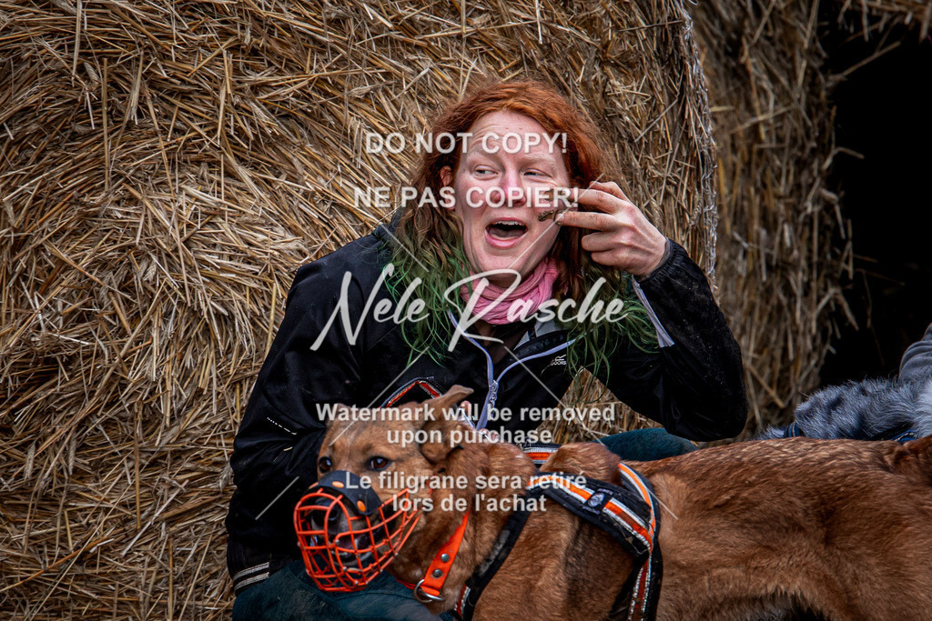 nelerasche_Hunsrück_So09-11_305 | nelerasche