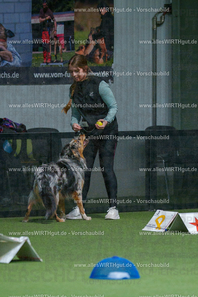 7R503165 | Professionelle Tierfotografie in Mönchengladbach von Daniel Wirth (allesWIRTHgut). Liebevolle & natürliche Bilder von Hunden & Katzen für unvergessliche Erinnerungen.